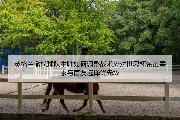 英格兰橄榄球队主帅如何调整战术应对世界杯备战需求与首发选择优先级