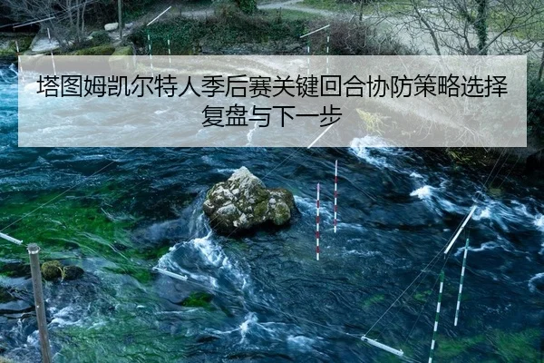 ta-tu-mu-kai-er-te-ren-ji-hou-sai-guan-jian-hui-he-xie-fang-ce-lve-xuan-ze-fu-pan-yu-xia-yi-bu-2-136.jpg